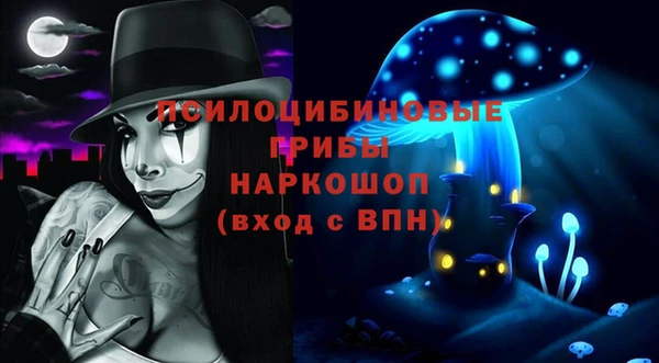 шишки Белокуриха