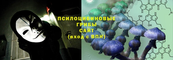 шишки Белокуриха