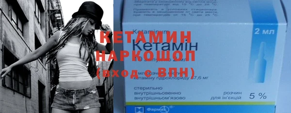 шишки Белокуриха