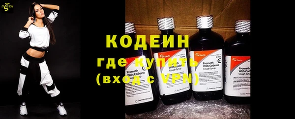 шишки Белокуриха