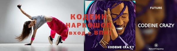 шишки Белокуриха