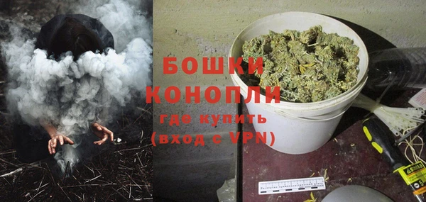 шишки Белокуриха