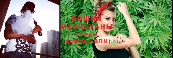 шишки Белокуриха