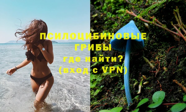шишки Белокуриха