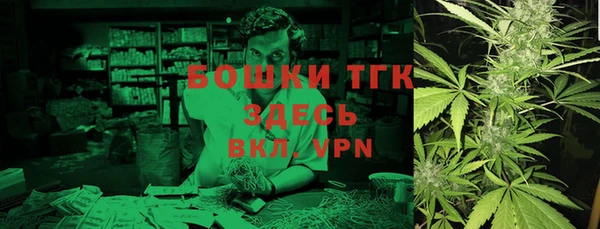 шишки Белокуриха