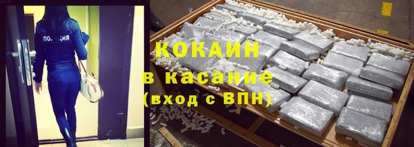 шишки Белокуриха